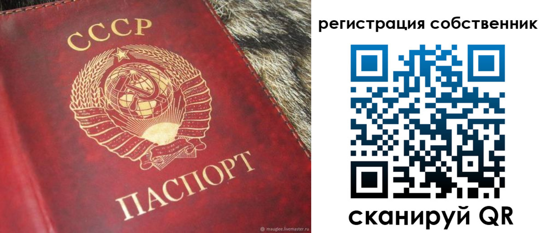 временная регистрация надежно в Выборге